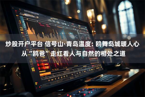 炒股开户平台 信号山·青岛温度: 鸥舞岛城暖人心 从“鸥爸”走红看人与自然的相处之道